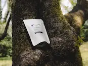 ペルー産/チャンチャマヨ/80g /カチモール種/ウォッシュト/浅煎り/
