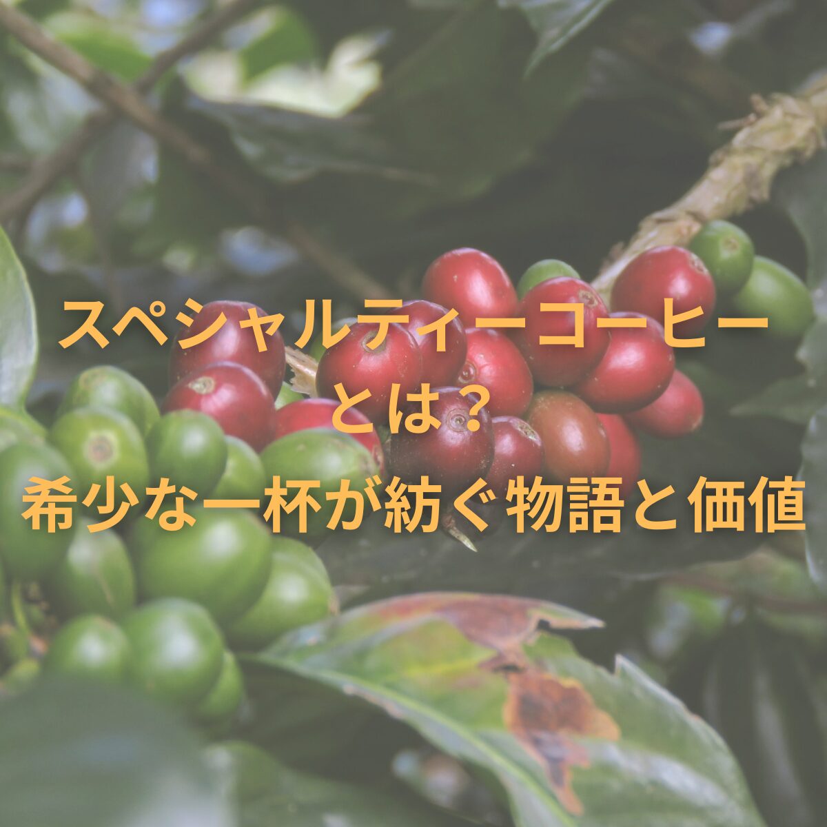 スペシャルティコーヒーとは？ – 希少な一杯が紡ぐ物語と価値