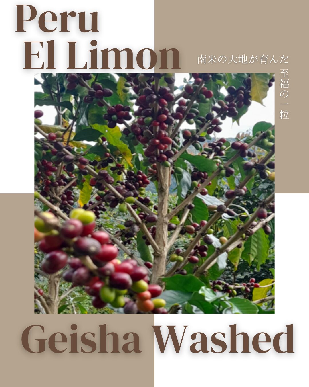 el limon