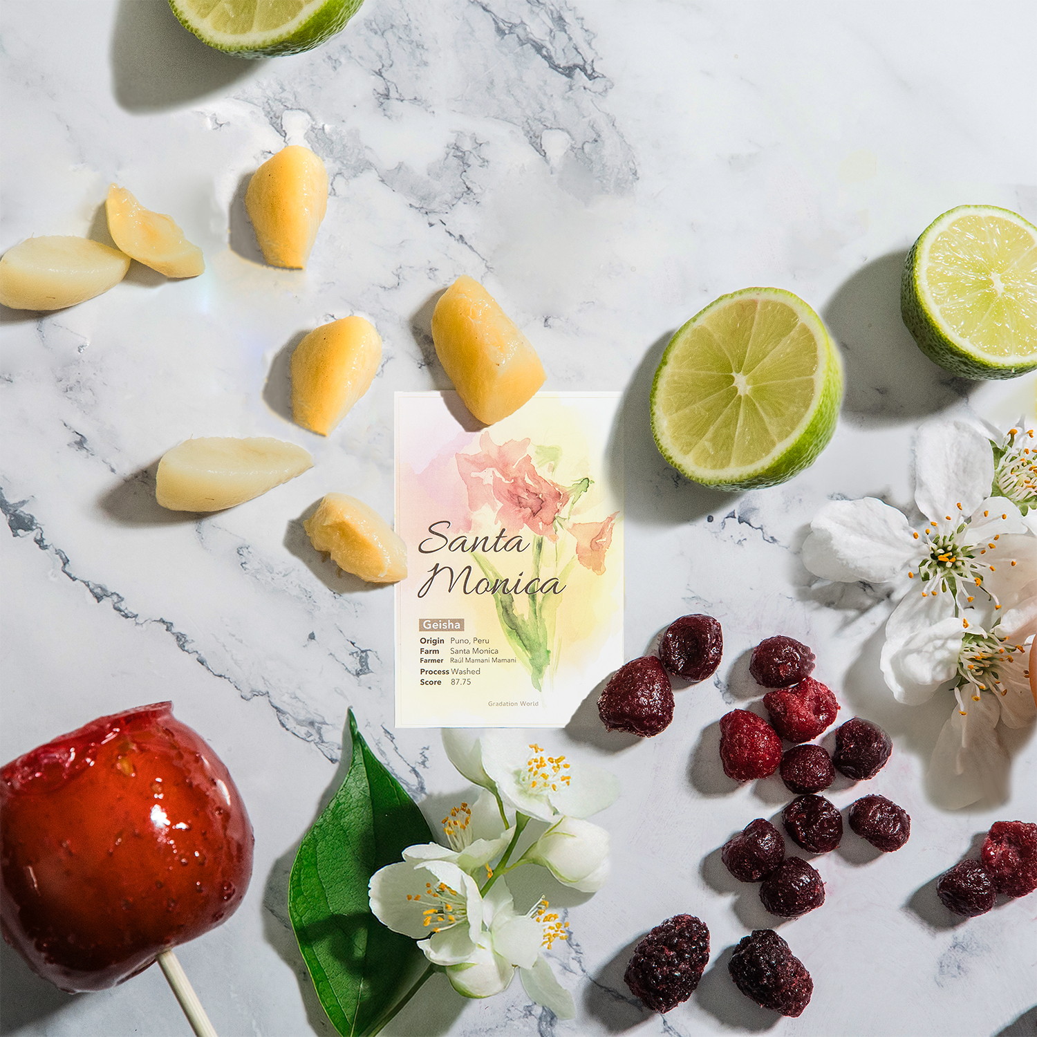 【NEW】ペルー産/サンタ・モニカ/ゲイシャ種/アナエロビック・ウォッシュド/50g