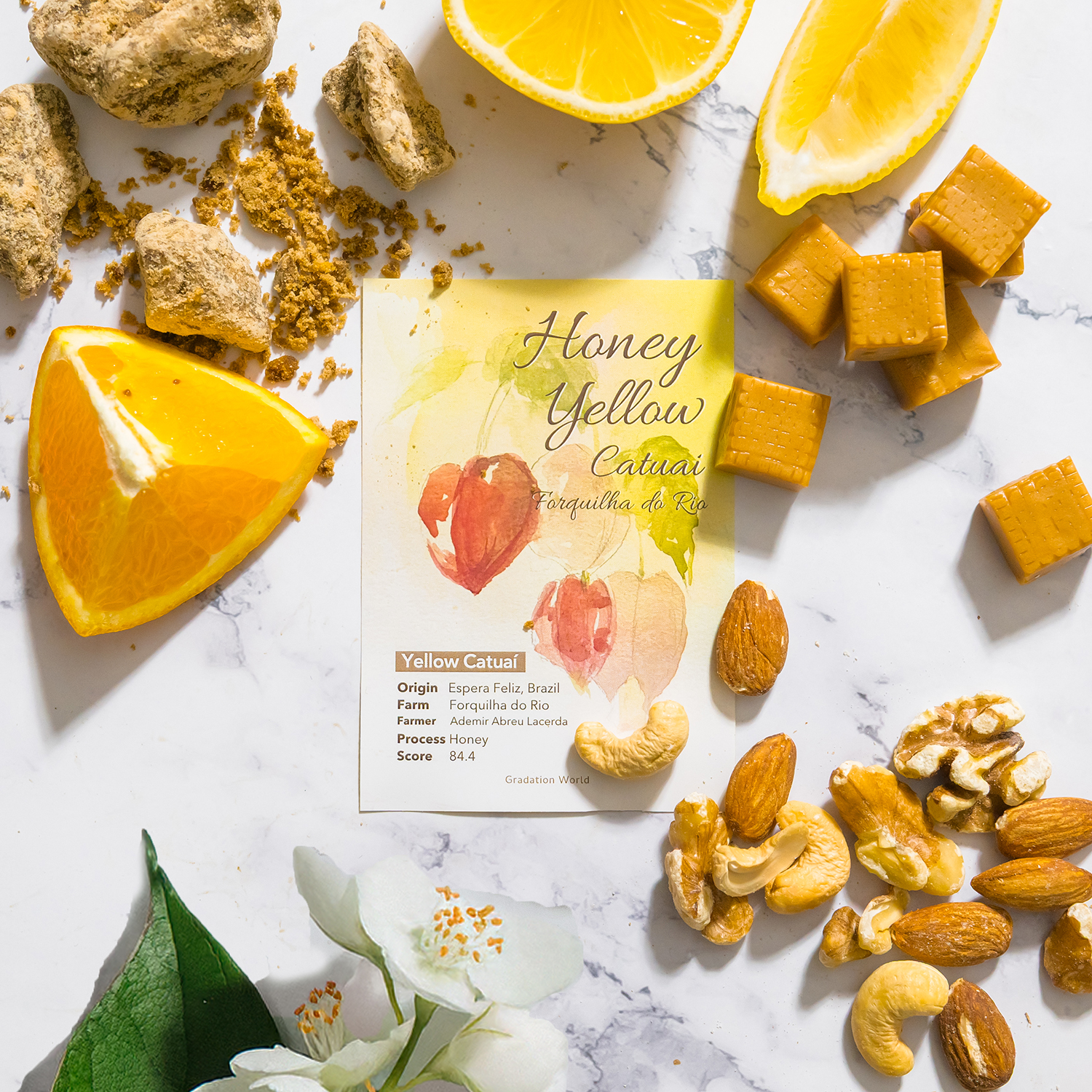 【NEW】ブラジル産/ハニー/イエローカツアイ/フォルキーニャ・ド・リオ農園/浅煎り