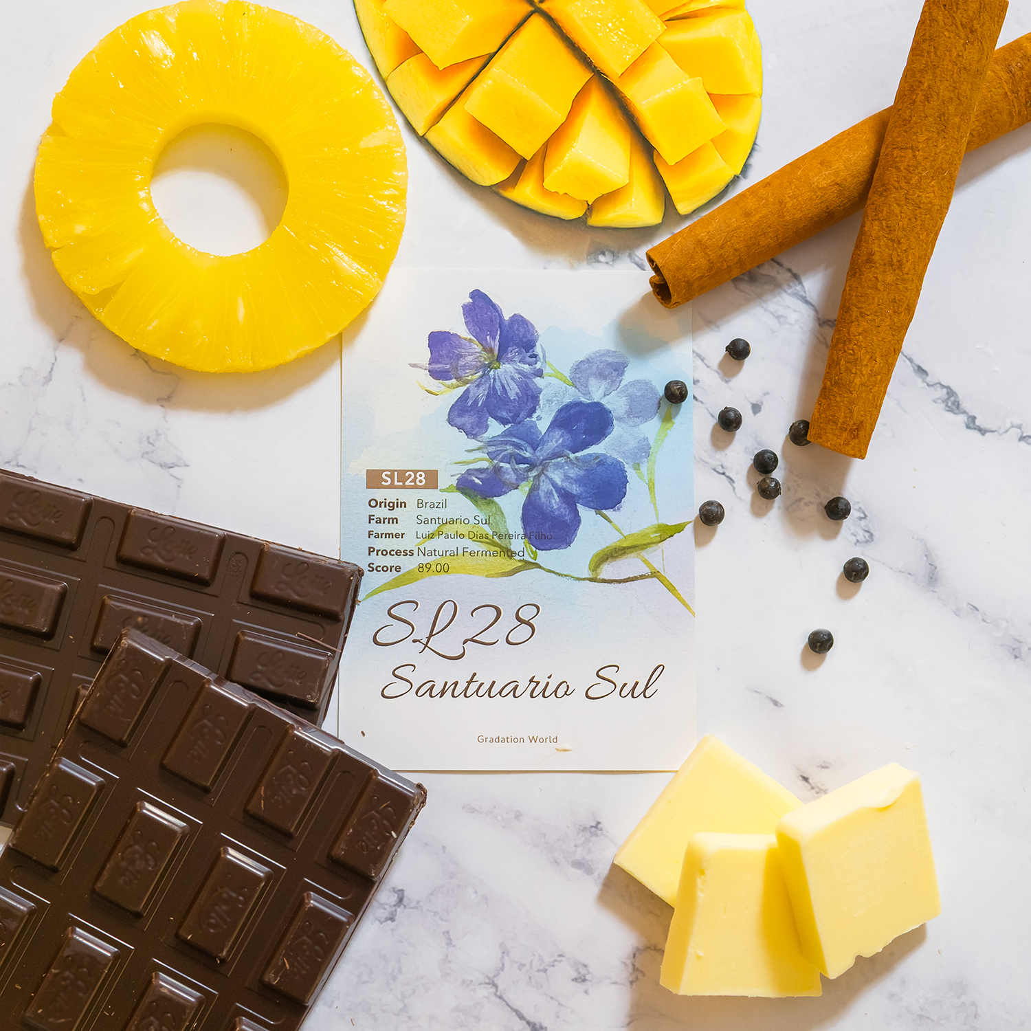 【NEW】ブラジル産/ サンチュアリオ・スル農園/SL28/ダブルファーメンテーション/浅煎り