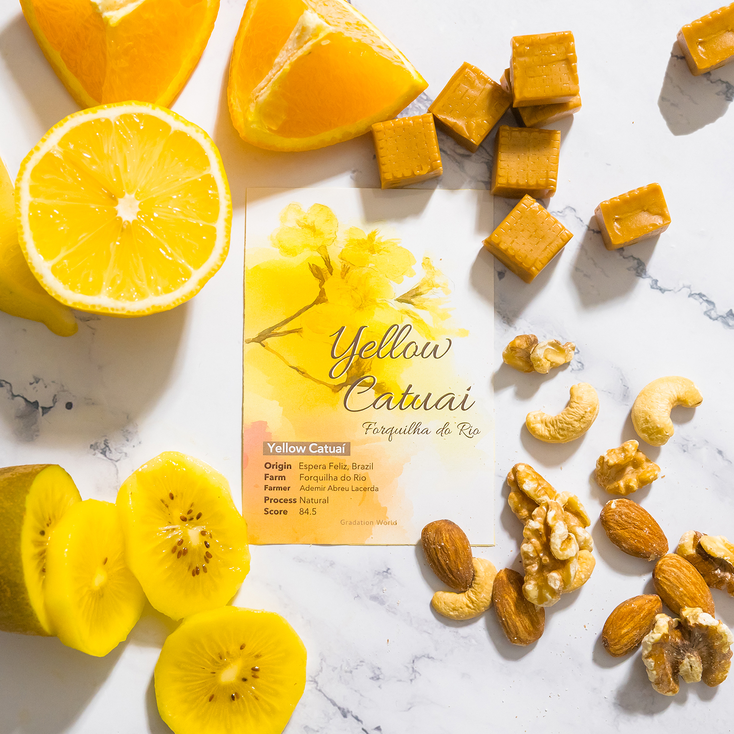 【NEW】ブラジル産/ナチュラル/イエローカツアイ/フォルキーニャ・ド・リオ農園/浅煎り