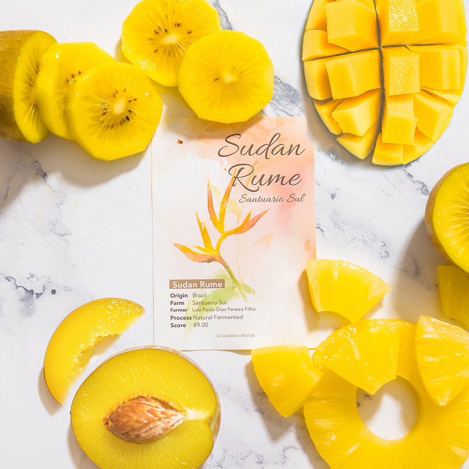 【NEW】ブラジル産/ サンチュアリオ・スル農園/スーダンルメ/ナチュラル/浅煎り