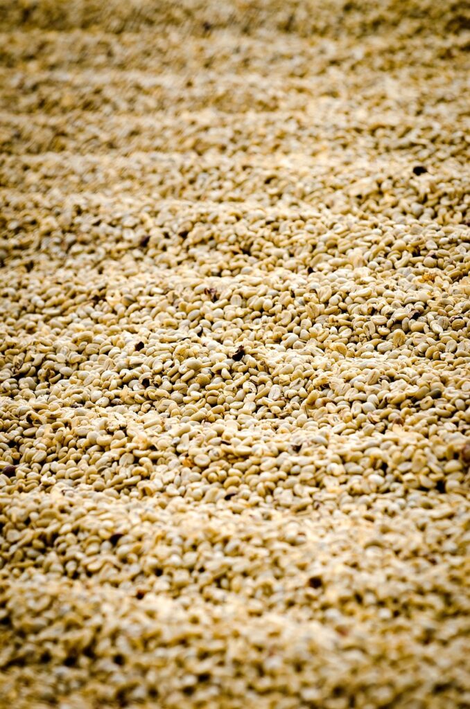 中米コーヒーおすすめ5選!各国の特徴と味わいを徹底比較【2025年最新版】