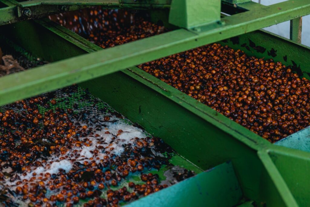 【南米限定】スペシャルティコーヒーのカッピング会|EL ORIGEN初参戦