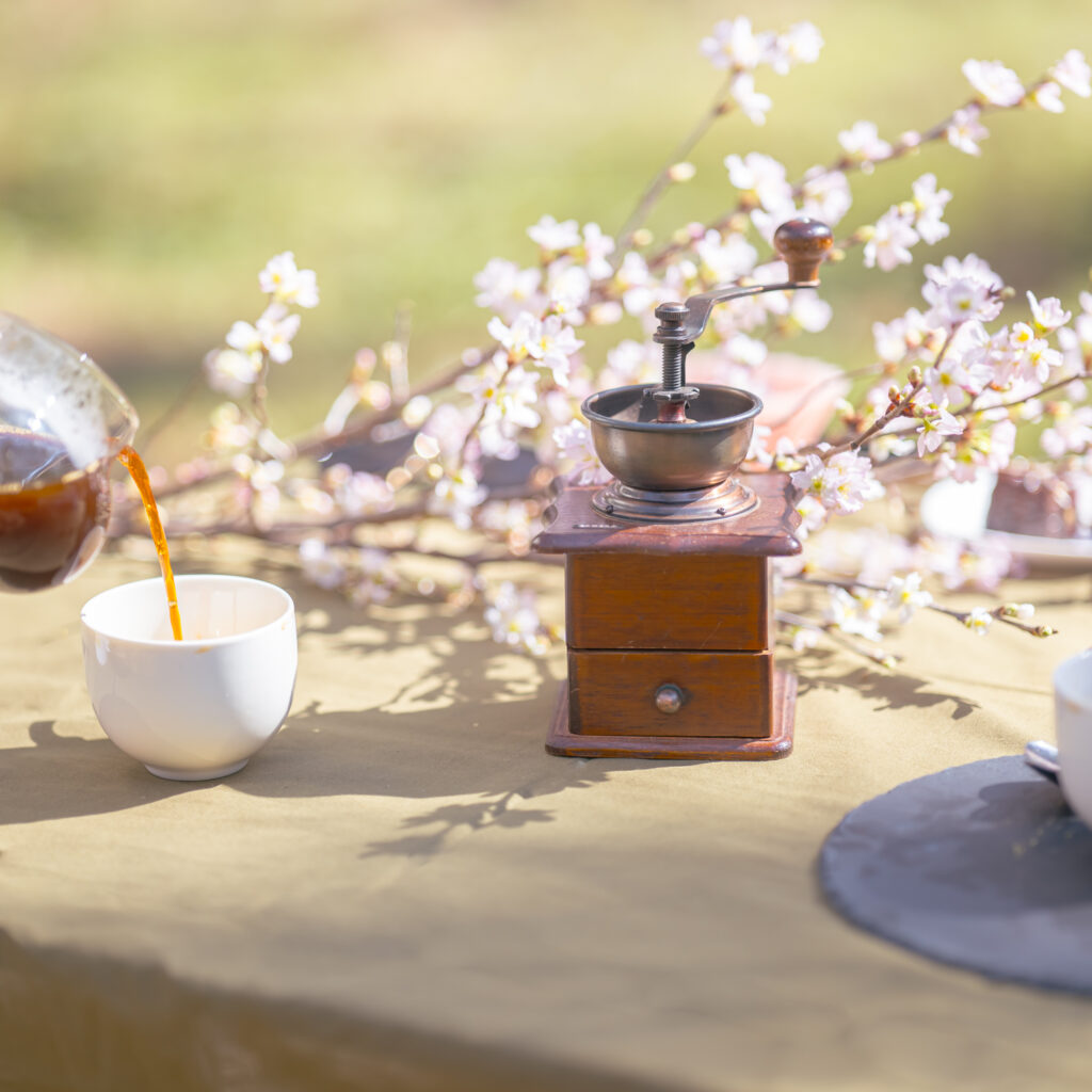 春の桜とスペシャルティコーヒー