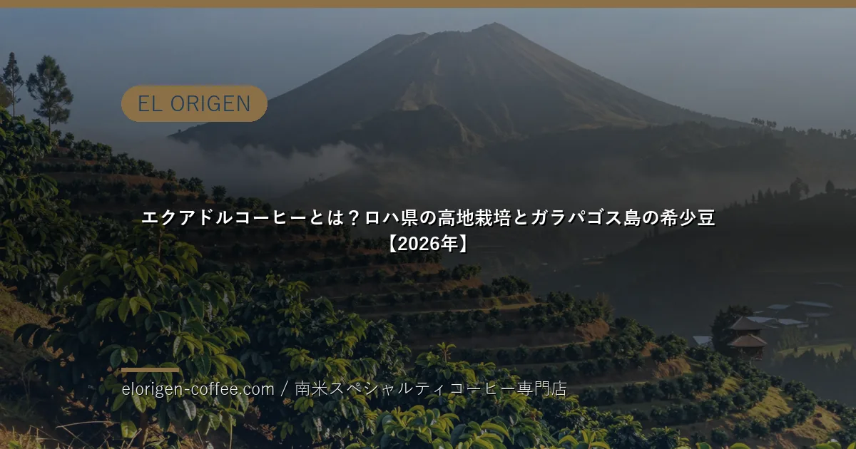 エクアドルコーヒーとは？ロハ県の高地栽培とガラパゴス島の希少豆